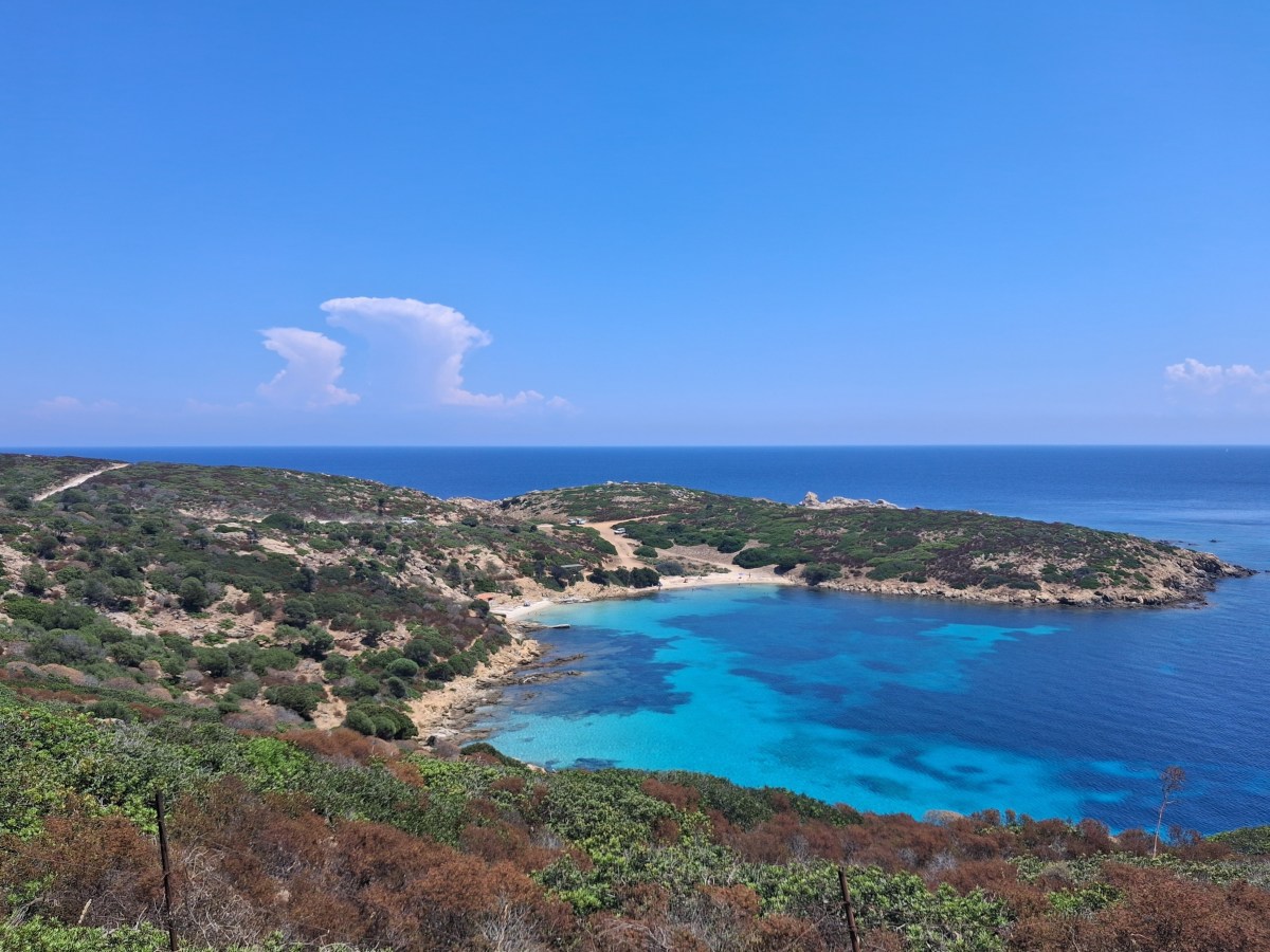 Da carcere a paradiso naturale: le tante vite dell’Asinara
